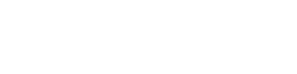 Pixallus-Logo-white