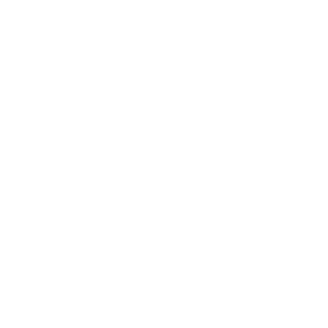 pixallus logo - white flower